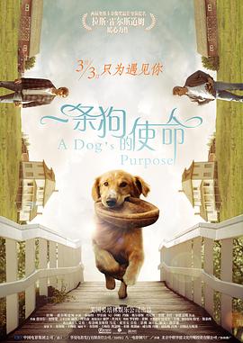 日韩制服丝袜在线