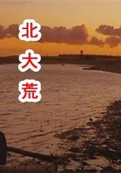 海角乱轮