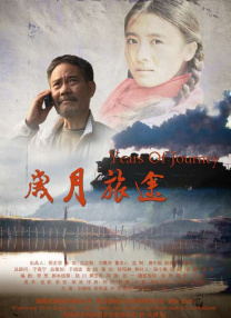 旋涡的读音