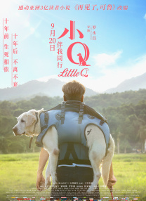 一级特黄aa大片免费播放视频