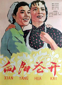51久久
