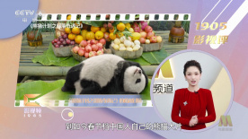 八戒八戒在线观看免费视频